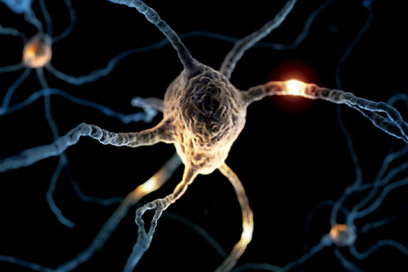 Vyndaqel (tafamidis) Approved in EU to Combat Rare Disease Vyndaqel (tafamidis) was approved in the European Union in November 2011 for the treatment of transthyretin familial amyloid polyneuropathy (TTR-FAP) in adult patients with stage 1 symptomatic polyneuropathy. This approval represents a major advance as Vyndaqel is the first and only medication to delay neurologic impairment for patients suffering from this rare, progressive and nearly always fatal neurodegenerative disease, estimated to affect 8,000 people worldwide.