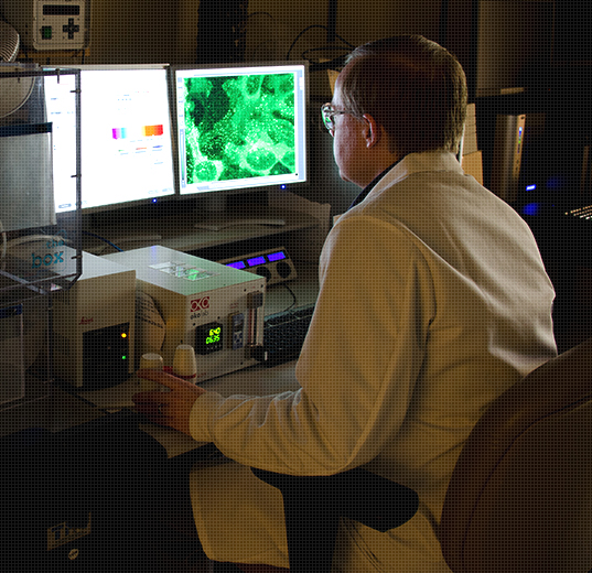 A Milestone on Pfizer's Green Journey