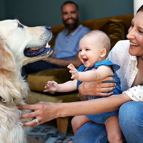 Mother and baby with labrador