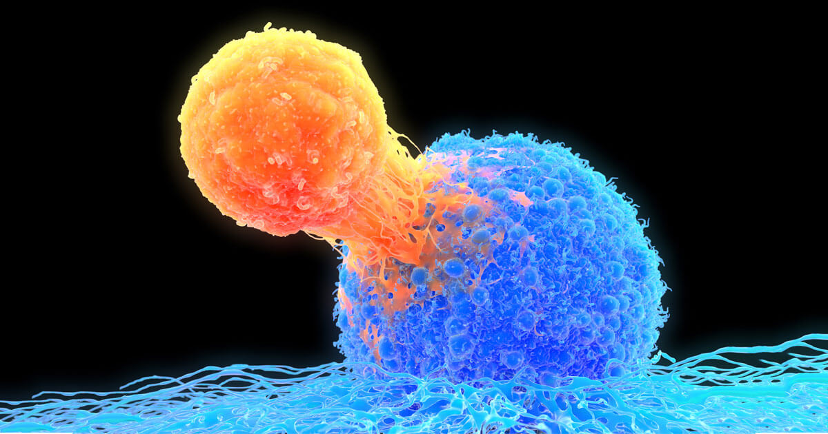 Setting the Stage for a Fight: Enlisting T-cells to Combat Multiple Myeloma