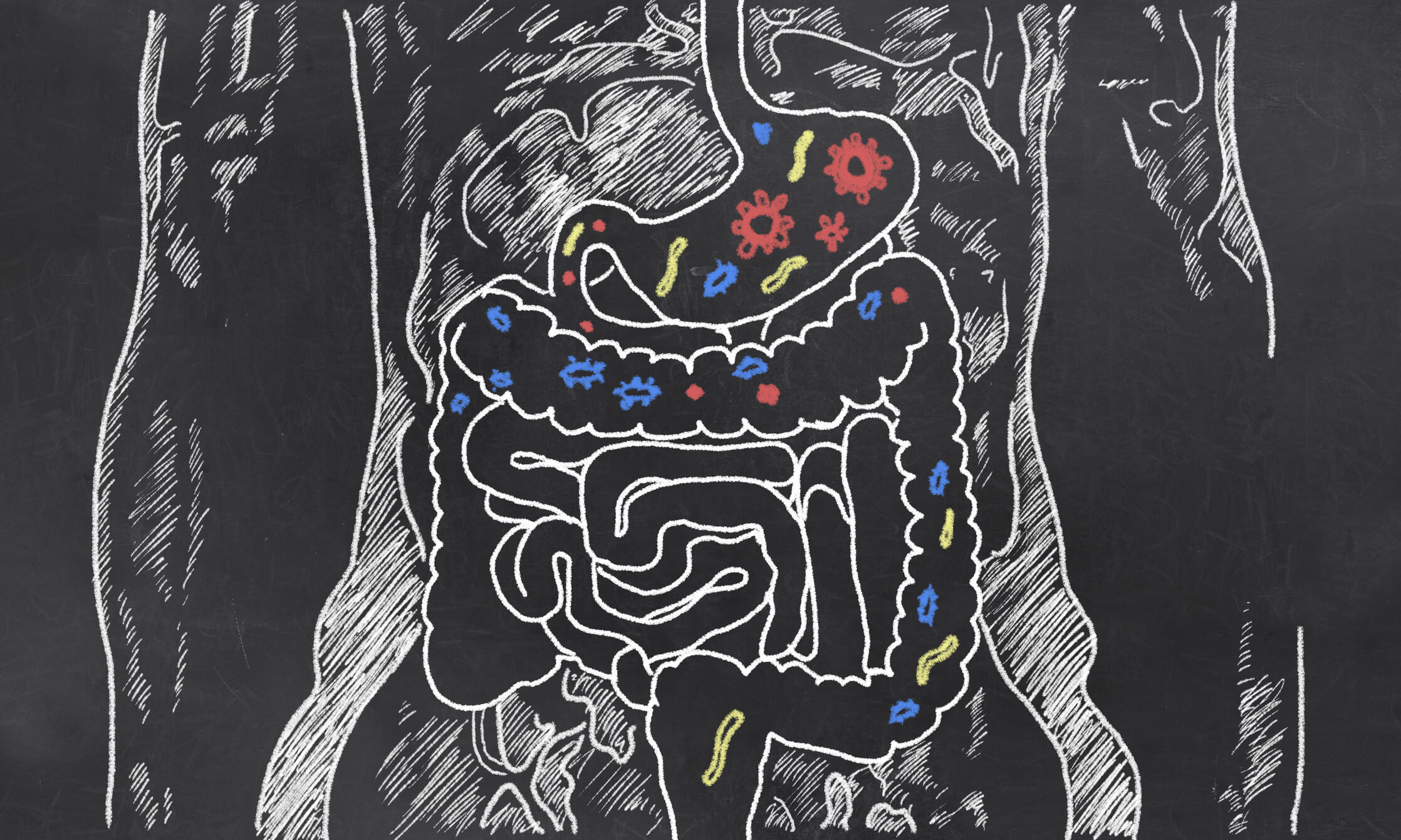  Checking Our Gut Microorganisms’ Disease-Fighting Might