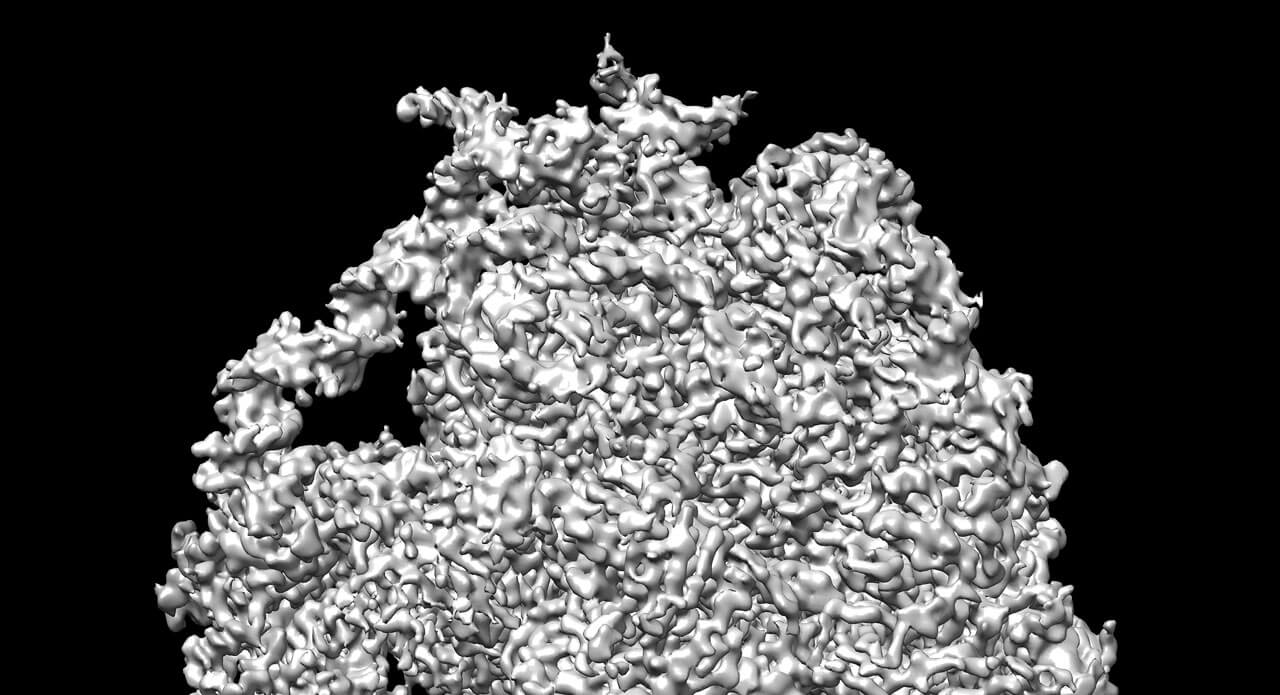 Cryo-Electron Microscope Opens Resolution Revolution for Biological Imaging