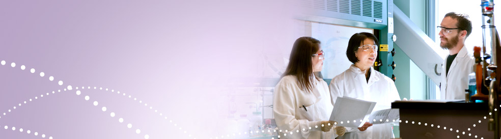 How we Are Organized