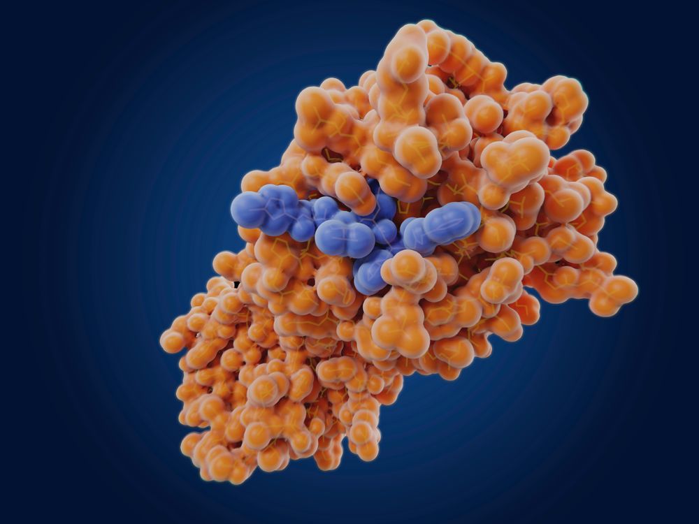 Up-close image of SARS-CoV-2 main protease and an inhibitor