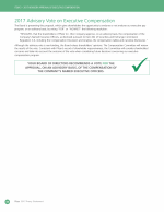 2017 Advisory Vote on Executive Compensation