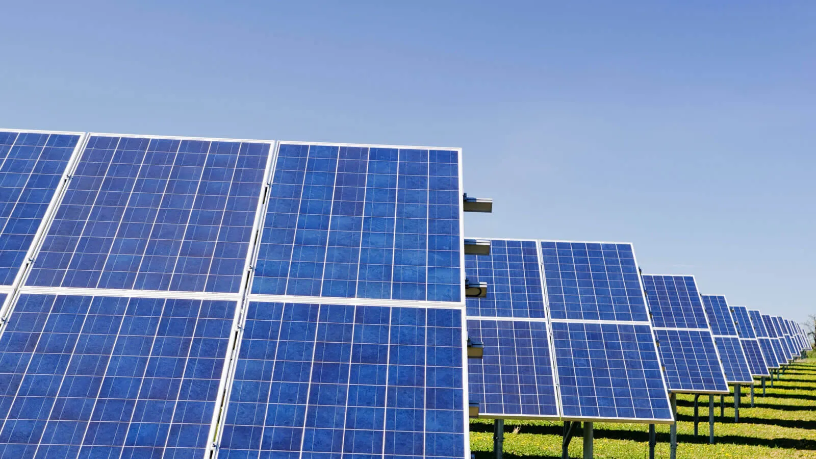 solar panels lined up in a field