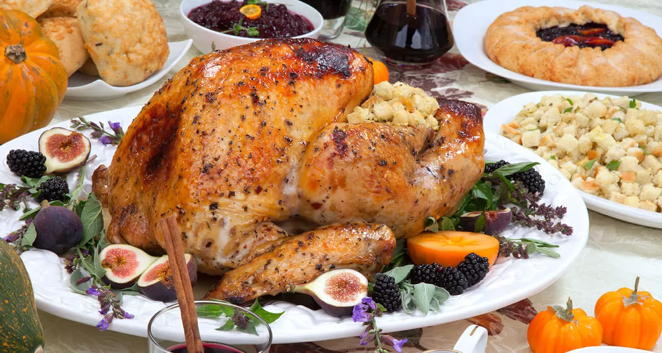 pfizer_get-science_feasting-on-science_turkey_1280x695.jpg